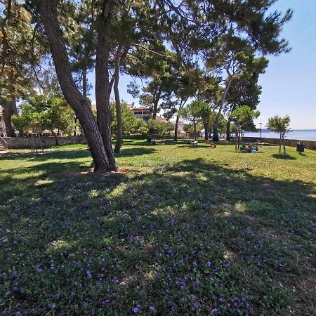 Nina Deluxe Superior 5 Star Apartment, Your Piece Of Heaven By The Sea & Park Novigrad Istria Esterno foto